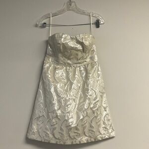 American Eagle Outfitters Ivory Metallic Brocade Dress